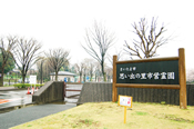 �v���o�̗����