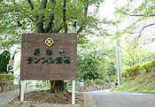 親縁寺 テンプル斎場