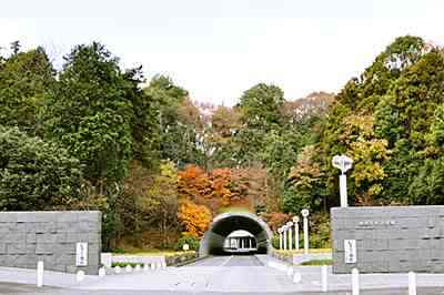 会葬風景や祭壇など